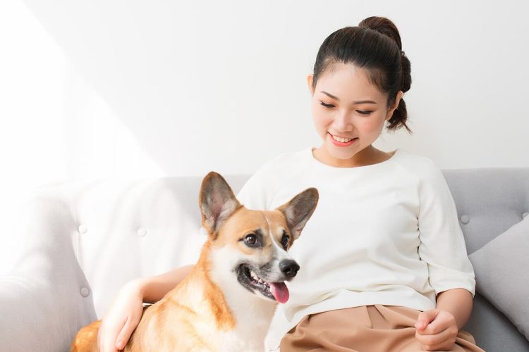 A woman with a corgie